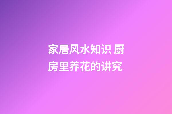 家居风水知识 厨房里养花的讲究